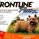 Frontline Plus  0-22    orange 3 pack